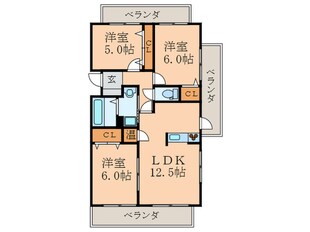 ニューガイア高野の物件間取画像